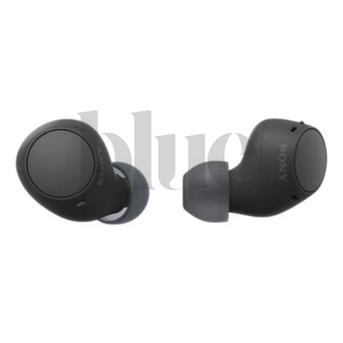 Cheap price WF true wireless headphones in Hyderabad